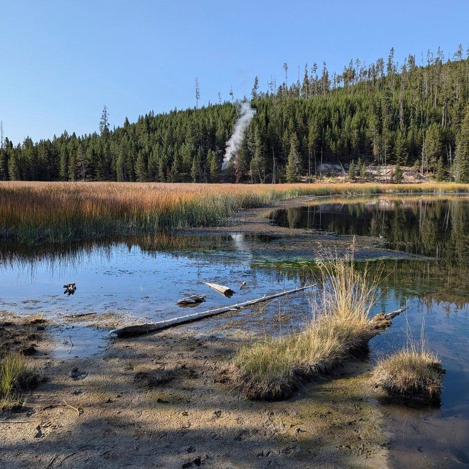 A new thermal steam vent is grabbing attention in ever-changing Yellowstone ºÚÁϳԹÏÍø Park